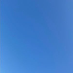 Meet your Posher, Rose